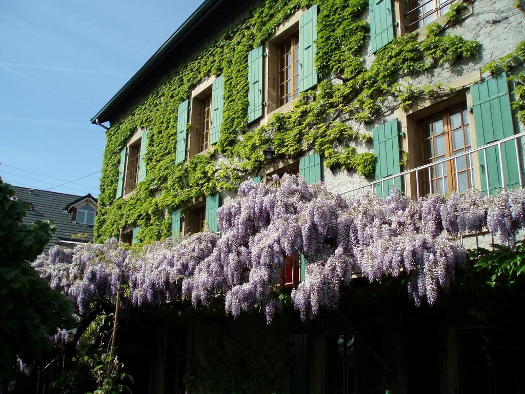 La Maison De Concise (Adults Only) Thonon-les-Bains Exteriér fotografie